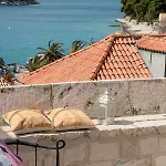 Matkovic Villa *